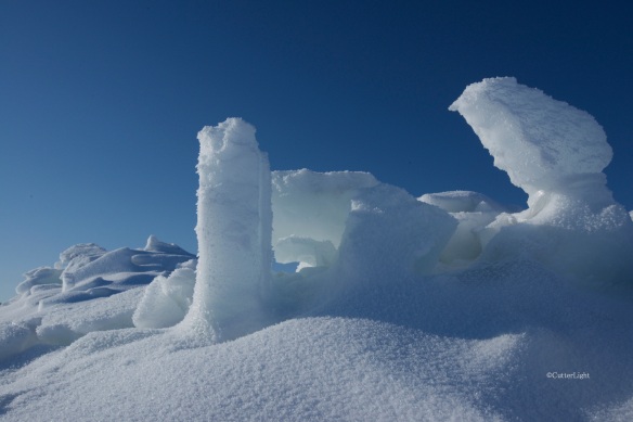 ice sculpture chukchi sea_n